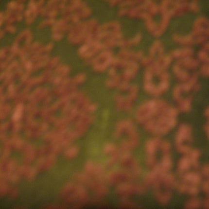 MADE In USA Womens Tops BLACK Purple RED Pattern Short Sleeve NYLON TOP Blouse Casual Clothes Small