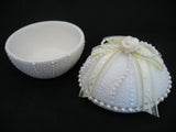 NEW Cream WHITE CERAMIC ROUND Box Boxes Trinket Trinkets Treasure Treasures Jewelry Jewelries CONTAINER CONTAINERS STORAGE Faux Pearl Pearls Bed Bath Home Decors Decorations