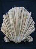 VINTAGE THANKSGIVING DAY Holiday TURKEY Natural Grass 3D Art CARVED Wood Dining Table Dinner Home Decors Decorations