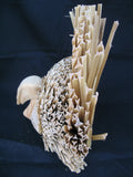 VINTAGE THANKSGIVING DAY Holiday TURKEY Natural Grass 3D Art CARVED Wood Dining Table Dinner Home Decors Decorations